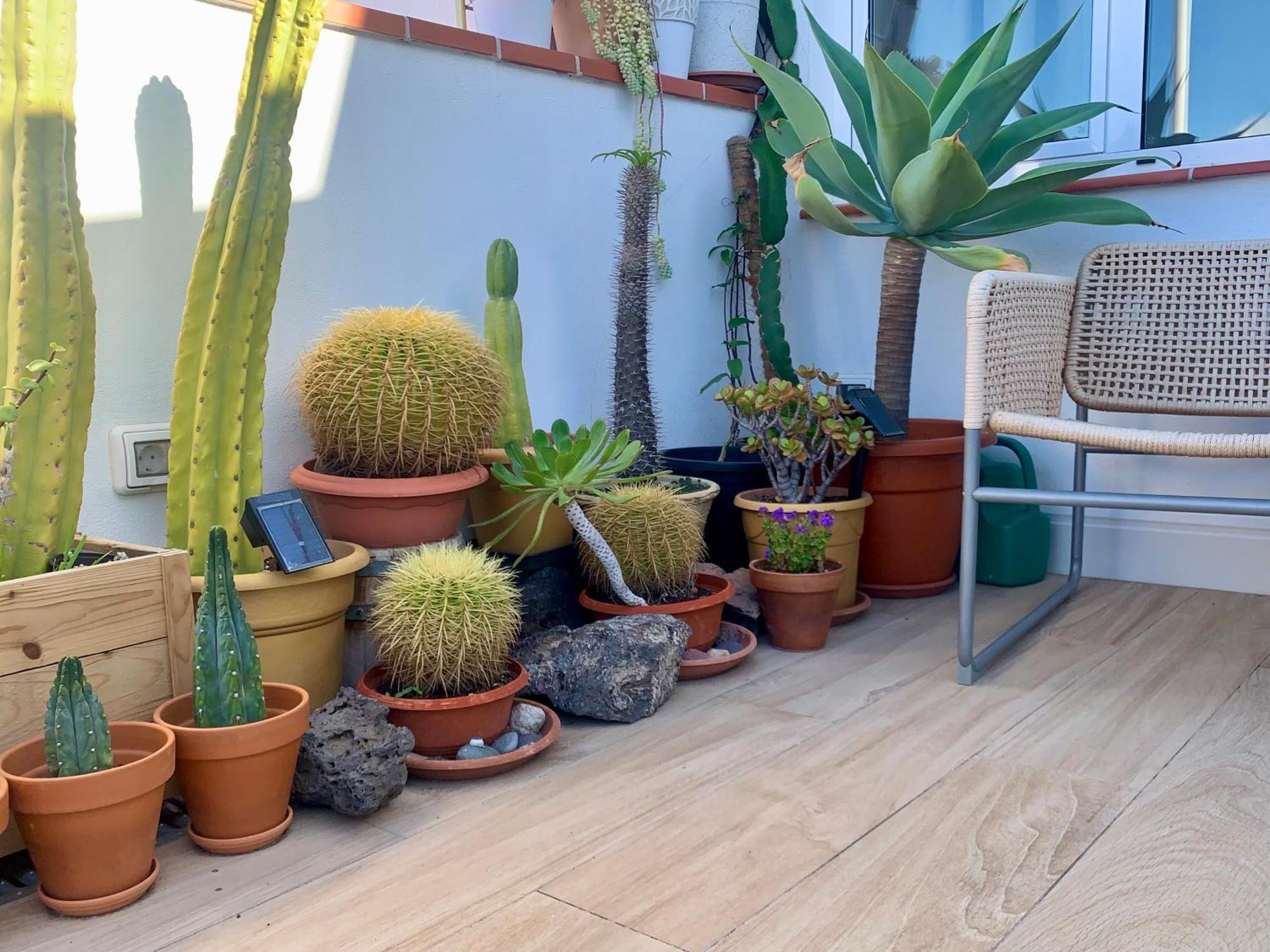 Apartamento Atico Con Terraza, Vistas Panoramicas Y Parking Santa Cruz de Tenerife Exterior foto