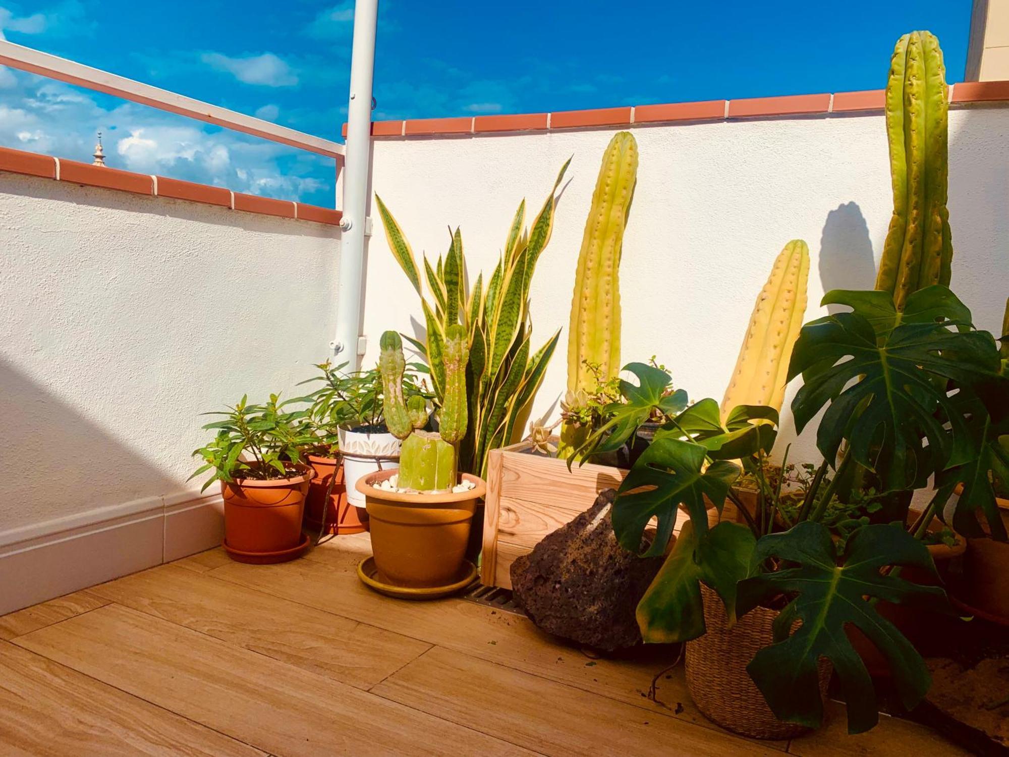 Apartamento Atico Con Terraza, Vistas Panoramicas Y Parking Santa Cruz de Tenerife Exterior foto